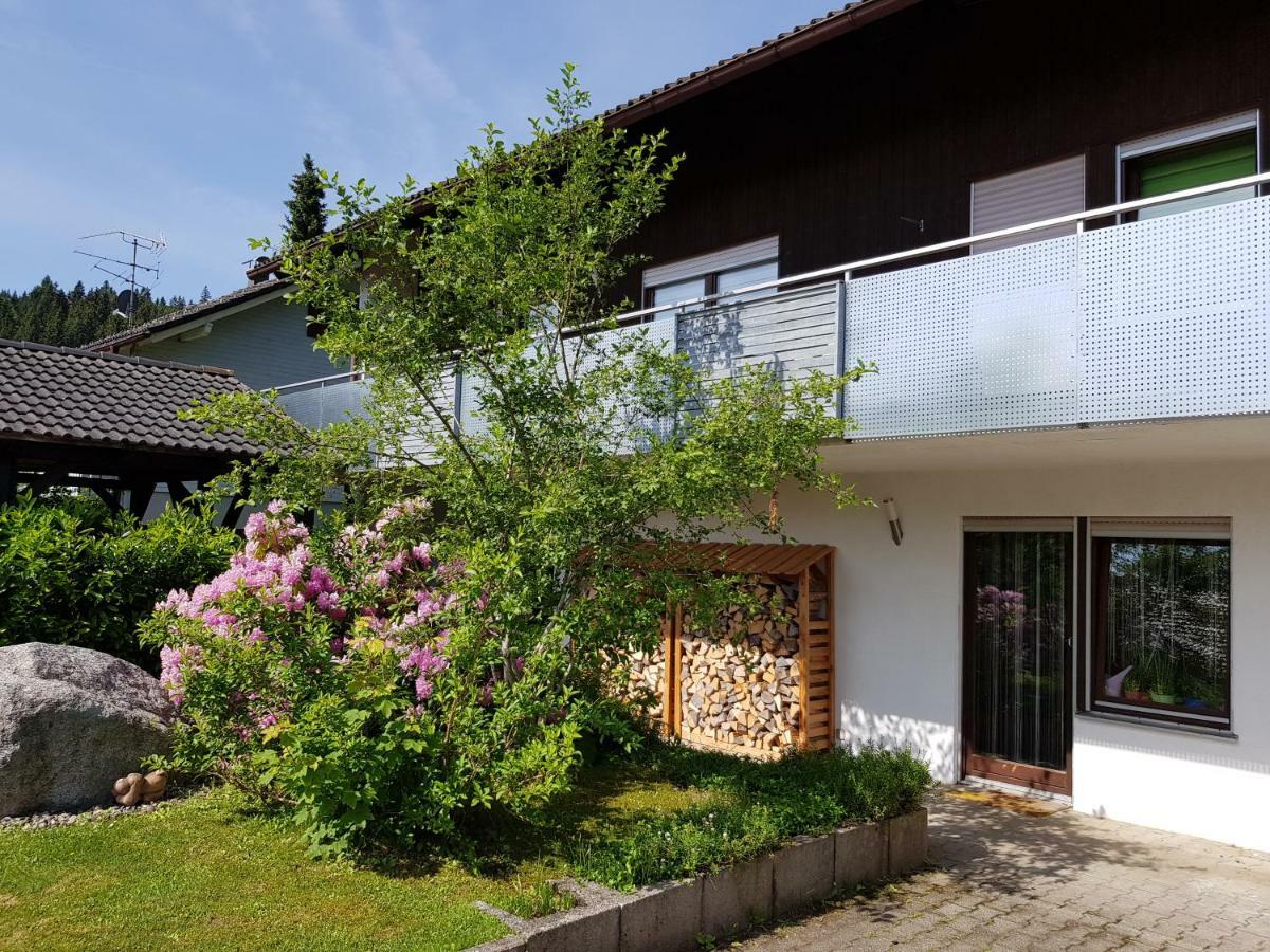 Jules Traum Im Schwarzwald Apartment Herrischried Ngoại thất bức ảnh