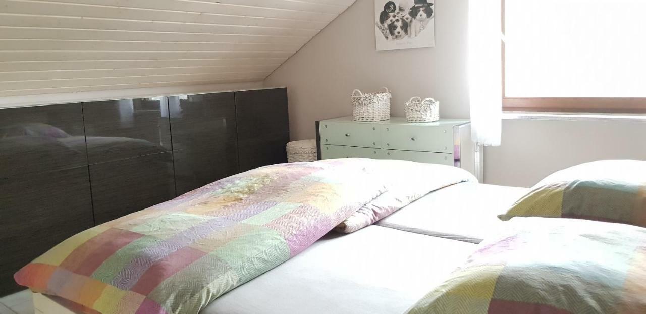 Jules Traum Im Schwarzwald Apartment Herrischried Ngoại thất bức ảnh